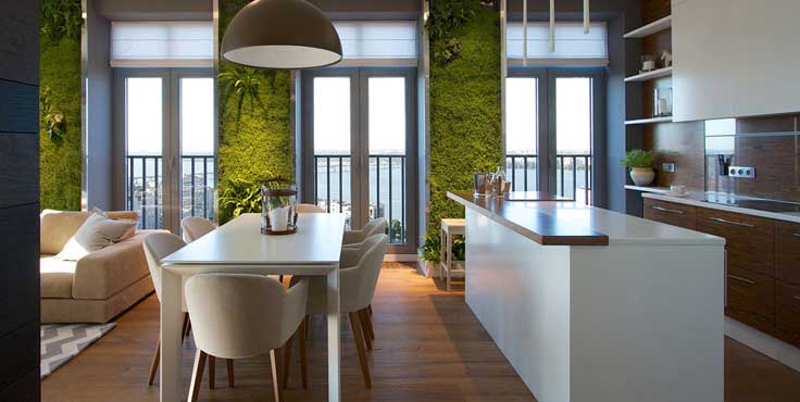 Natural light open plan living and living greenery walls